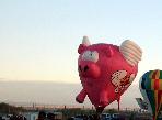 This very popular flying pig balloon has special meaning for Cubs fans coming as he does in October!  Wait til next year!