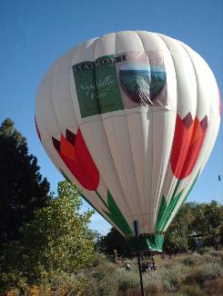 The Bloomin Balloon has touched down and remains inflated to aid recovery by the chase crew.